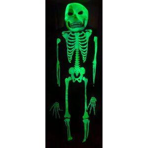 Glow in the Dark Skeleton Costume Kids 8-10 Mask Gloves Skelebones Halloween
